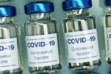 Bild für واکسن کرونا در شش مرحله به متقاضیان تزریق می‌شود