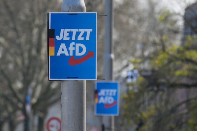 Bild für برنامج AfD الانتخابي يثير الجدل: تحذير من تقييد حرية المسلمين في ساكسونيا-أنهالت